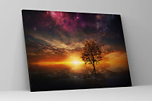 Obraz Strom pod hviezdnou oblohou 1631